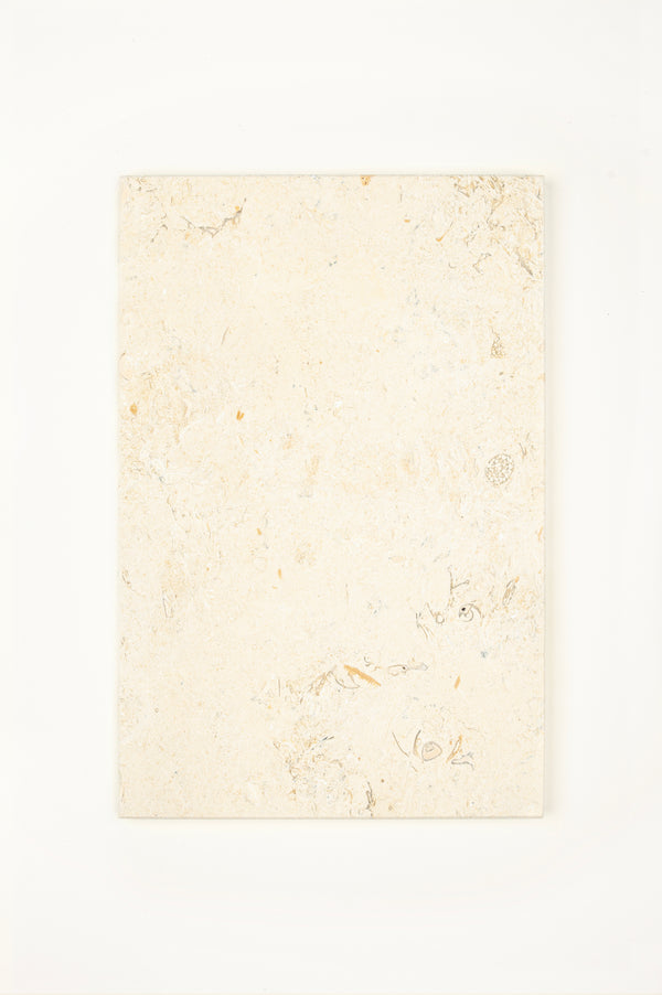 Fossile Claire