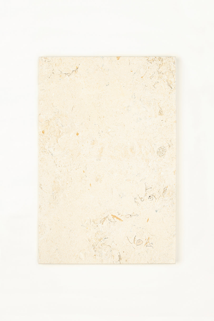 Fossile Claire