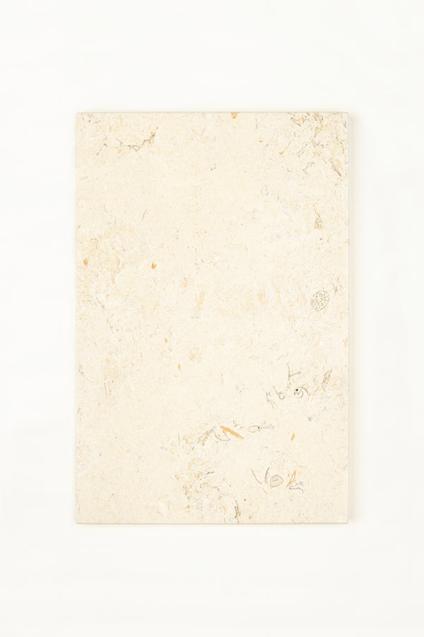 Fossile Claire